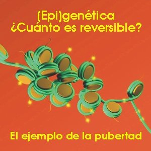 Epigenética
