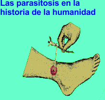 historia_parasitos