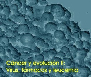 cancer-2