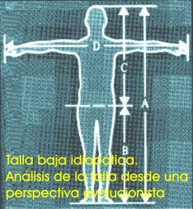 talla-baja
