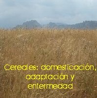 cereales